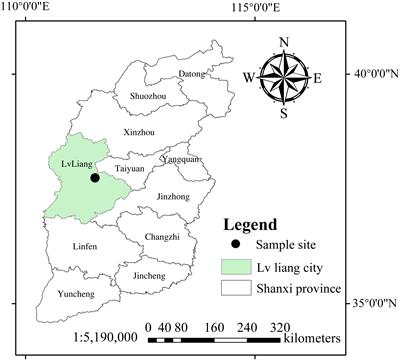 Rhizosphere effects and microbial N limitations drive the root N limitations in the rhizosphere during secondary succession in a Pinus tabuliformis forest in North China